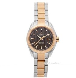 Omega Seamaster Aqua Terra Automatic 231.20.30.20.06.001