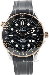 Omega Seamaster Diver 300m 210.22.42.20.01.002